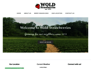 woldstrawberries.com screenshot