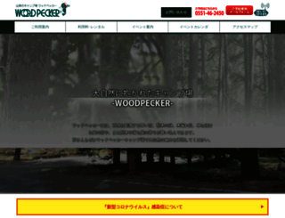 woodpecker-cs.com screenshot
