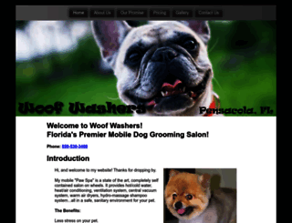 woofwashers.com screenshot