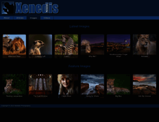 xenedis.net screenshot