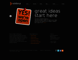 xintesa.com screenshot