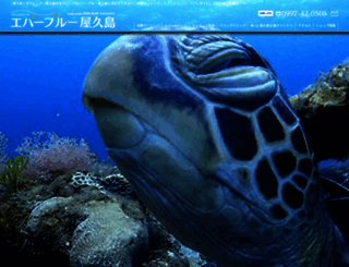 yakushima-diving.com screenshot