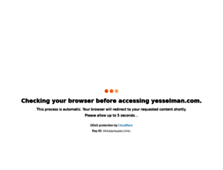 yesselman.com screenshot