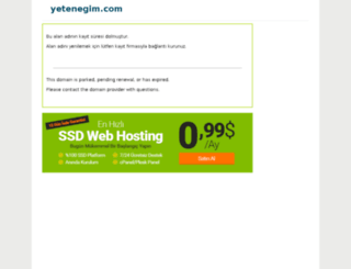 yetenegim.com screenshot