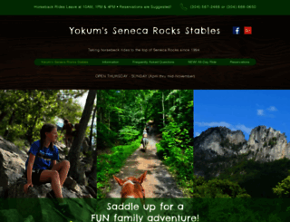 yokums-stables.biz screenshot