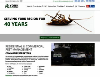 yorkpestcontrol.ca screenshot