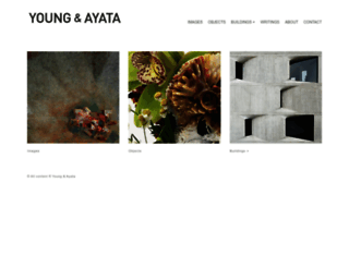 young-ayata.com screenshot