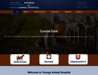 youngsanimalhosp.com screenshot