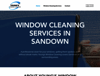 youngswindowcleaning.co.uk screenshot