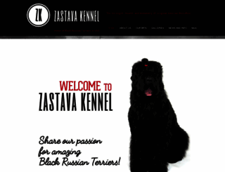 zastavabrt.com screenshot