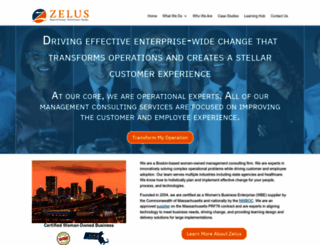 zelusllc.com screenshot