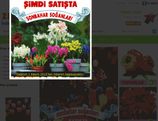 zengardentr.com screenshot