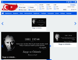 zeytinburnugazetesi.com screenshot