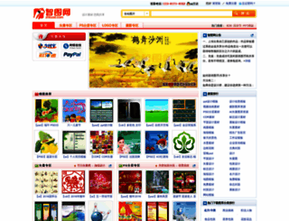 zhituad.com screenshot