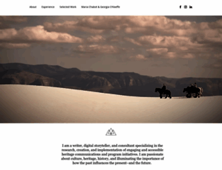 zibbywilder.com screenshot