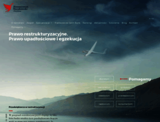 zimmerman.com.pl screenshot