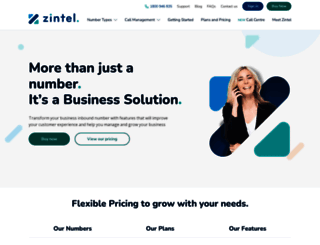 zintel.com.au screenshot