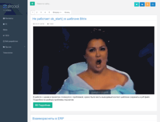 zircool.ru screenshot