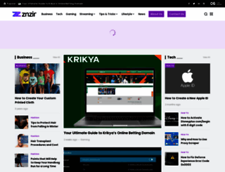 znzir.com screenshot