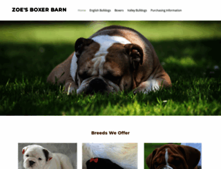 zoes-boxerbarn.com screenshot