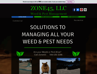zone45.com screenshot