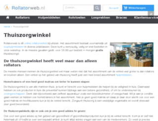 zorgpuntthuiszorg.nl screenshot