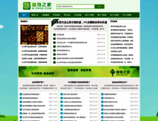 zw3e.com screenshot