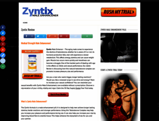 zyntix.net screenshot