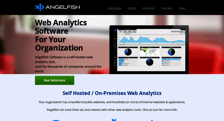 Image result for angelfish analytics software