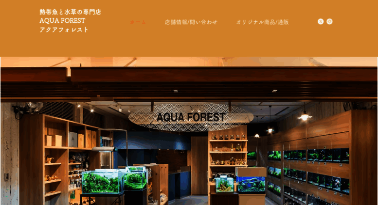 Access Aquaforest Tokyo 熱帯魚と水草の専門店 ａｑｕａ ｆｏｒｅｓｔ アクアフォレスト