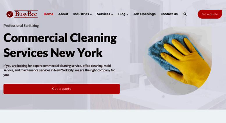 Access Bbcleaningservice Busy Bee Cleaning Services 212 921 Bbcleaningservice Screenshot