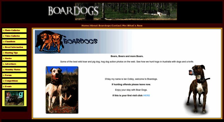 boardogs classified