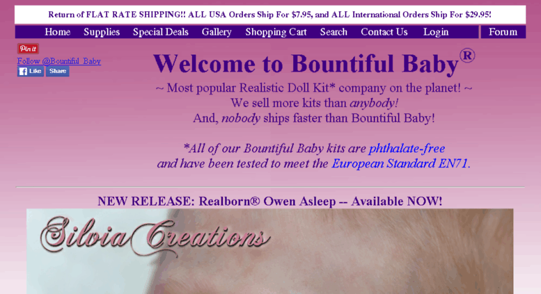 bountiful baby reborn doll kits