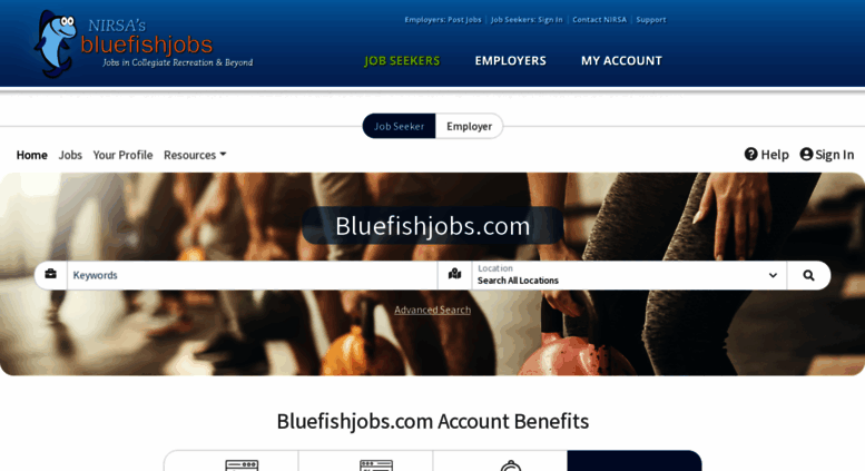 bluefish jobs