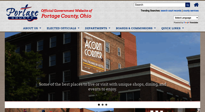 portage county ohio online docket