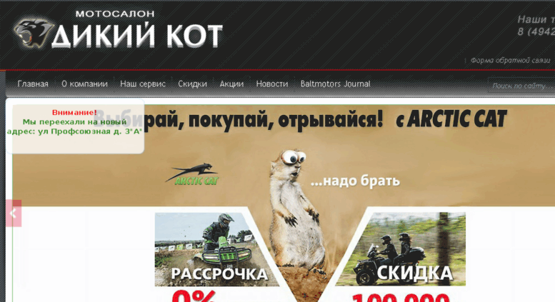 Интернет Магазин Дикий Кот