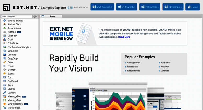 Ext Net Chart