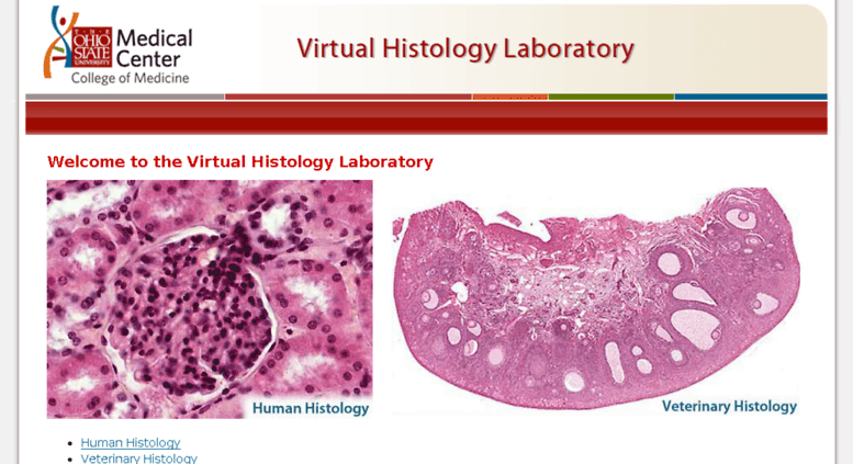 Virtual Histology Lab | Anatomy Resources: Histology Resources – LFGPRB