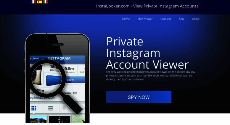 instalooker com screenshot - how to access private instagram without following