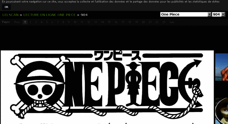 Access Lel Scan Co