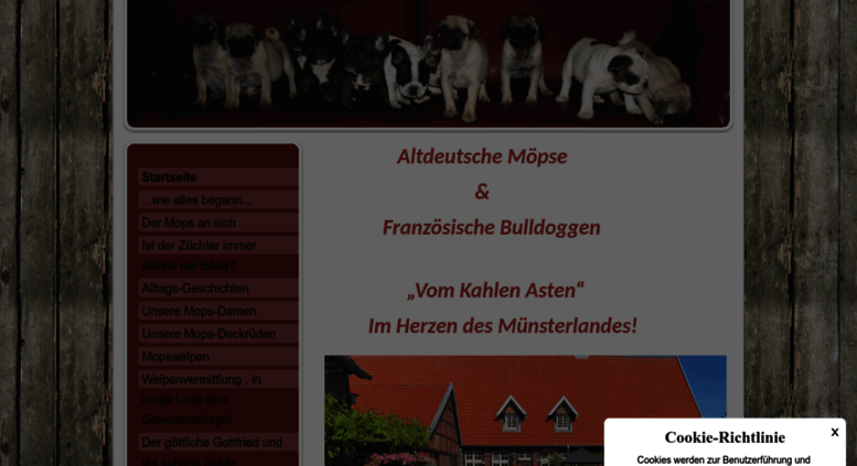 Access Mops Und Bully De Mops Und Franzosische Bulldogge Gesunde Freiatmende Agile Altdeutsche Mopse Und Franzosische Bulld