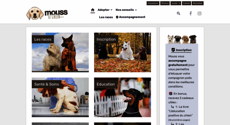 Access Mouss Le Chiencom Tous Les Conseils Pour Votre