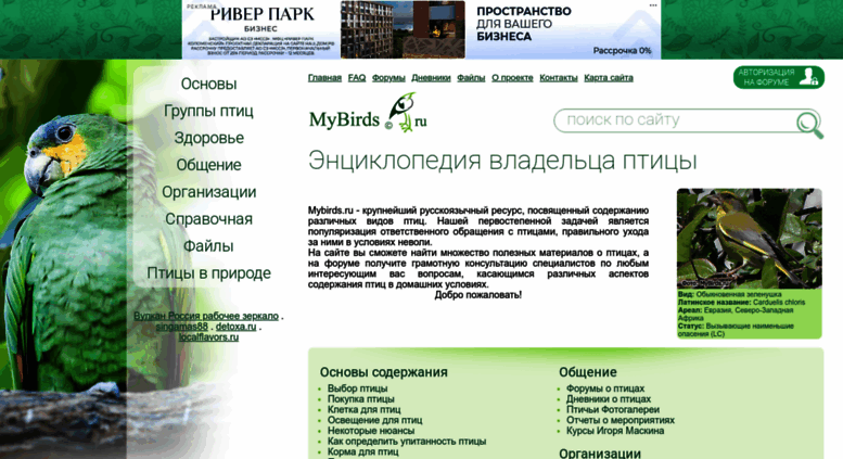 Зооклуб Симферополь Интернет Магазин