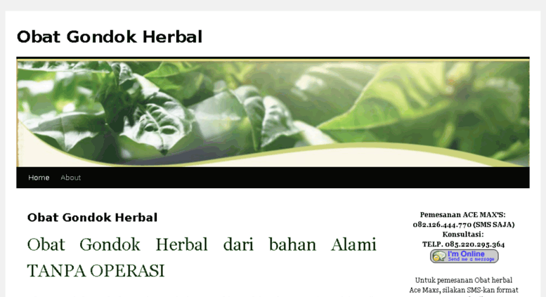 Ini Dia Bedanya Jamu Obat Herbal Terstandar Dan