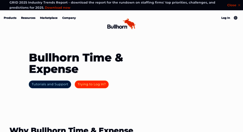 bullhorn time and expense