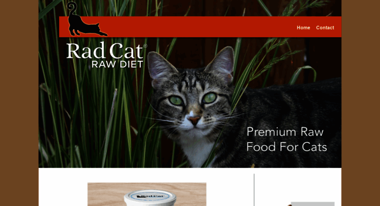 23 Raw Food Diet For Cats Stock