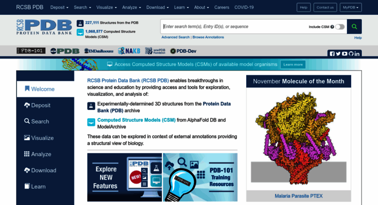 Access Rcsb.org. RCSB PDB: Homepage