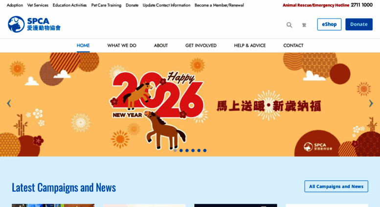 Spca Hong Kong Adoption 2025