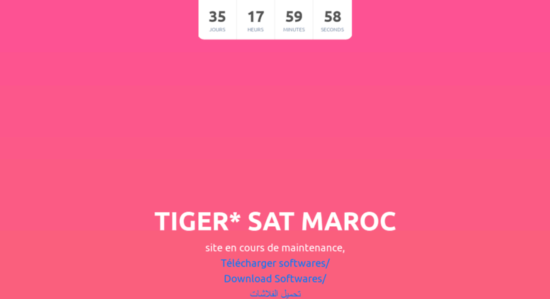 tiger maroc