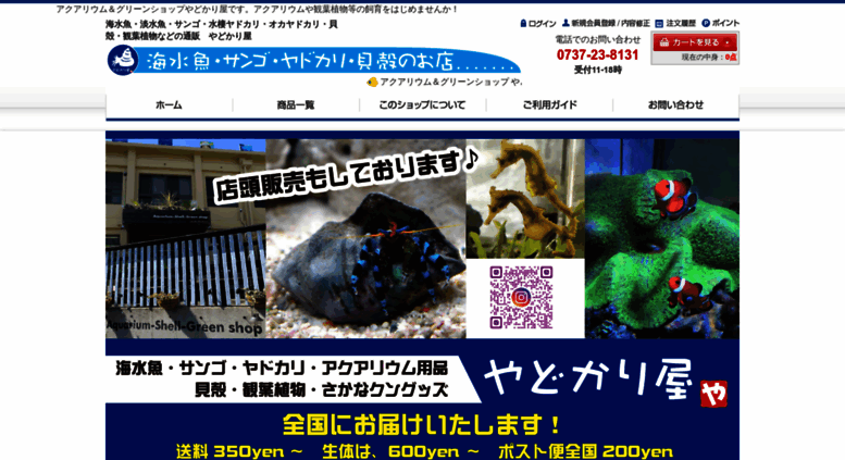 Access Yadokari Ya Jp 海水魚 サンゴ 飼育用品の通販なら 大阪の海水魚ショップやどかり屋へ